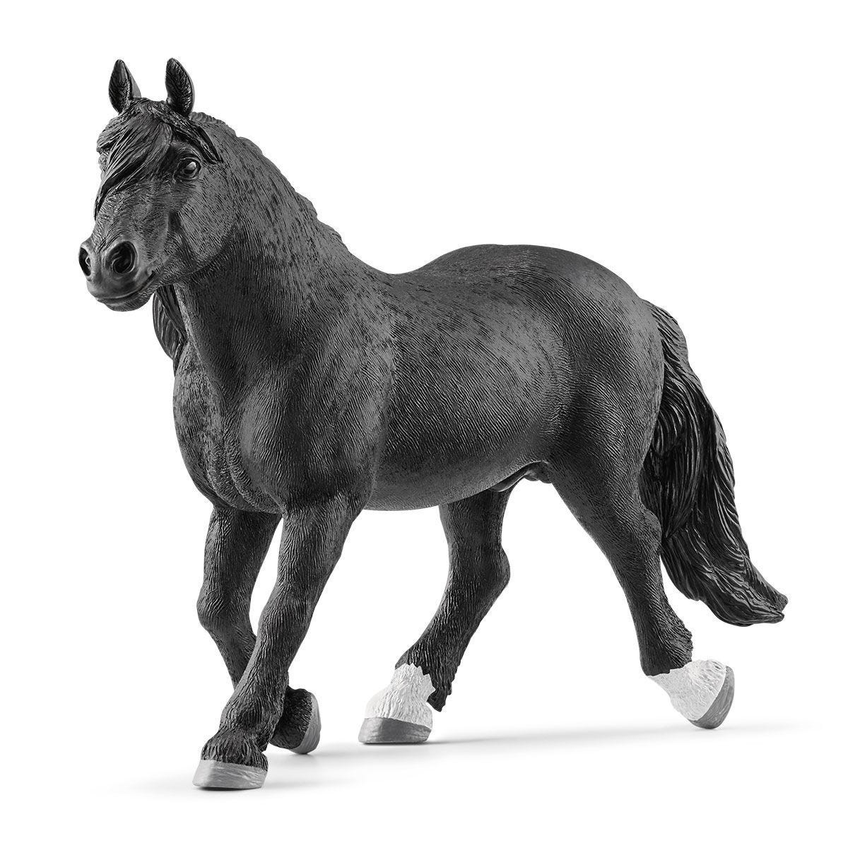13958P Noriker stallion