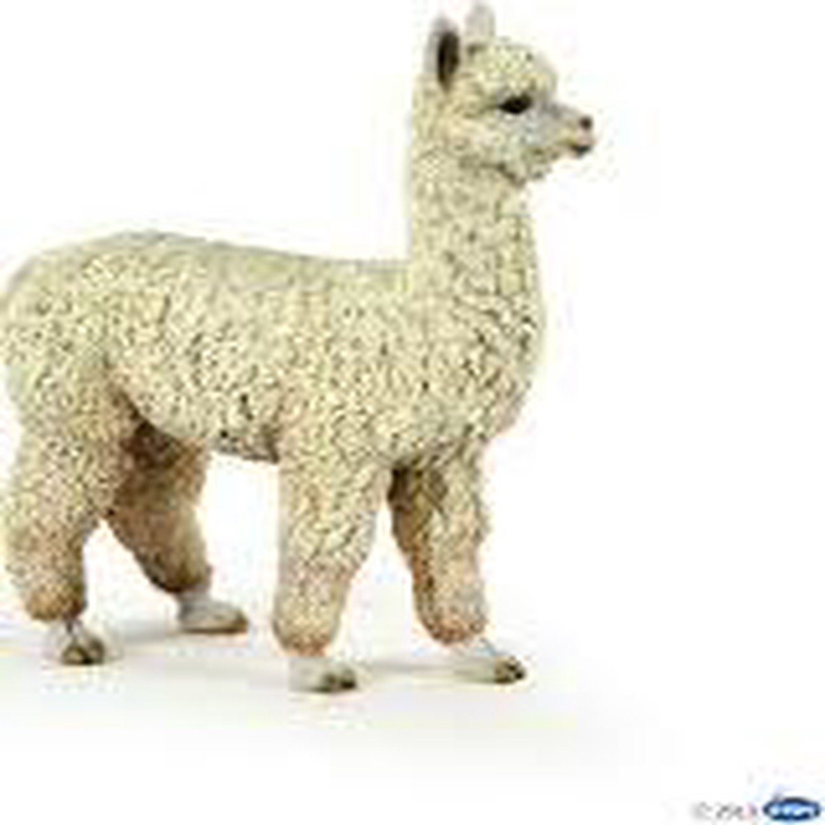 Alpaca