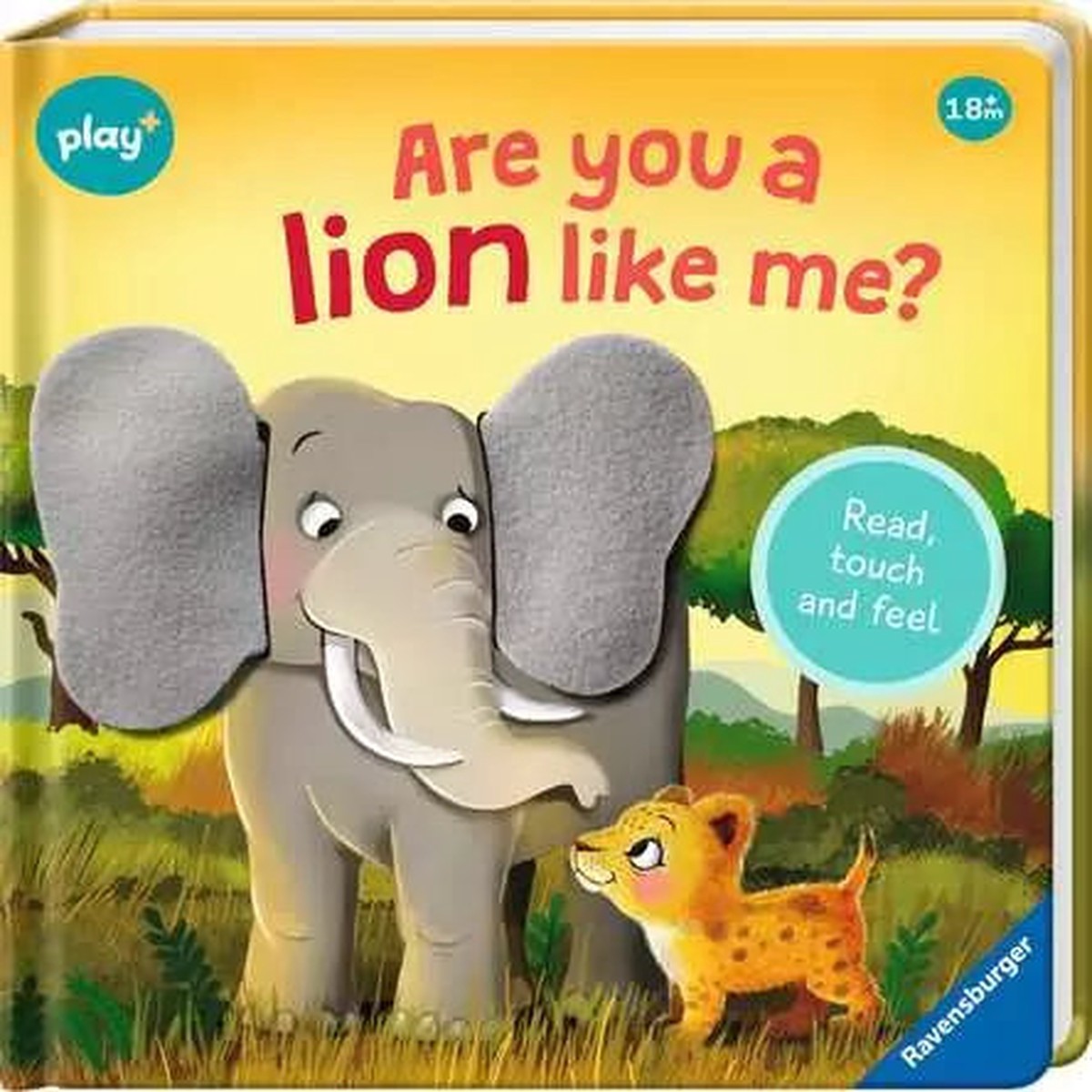 Play Board Book - Are You A Lion Like Me