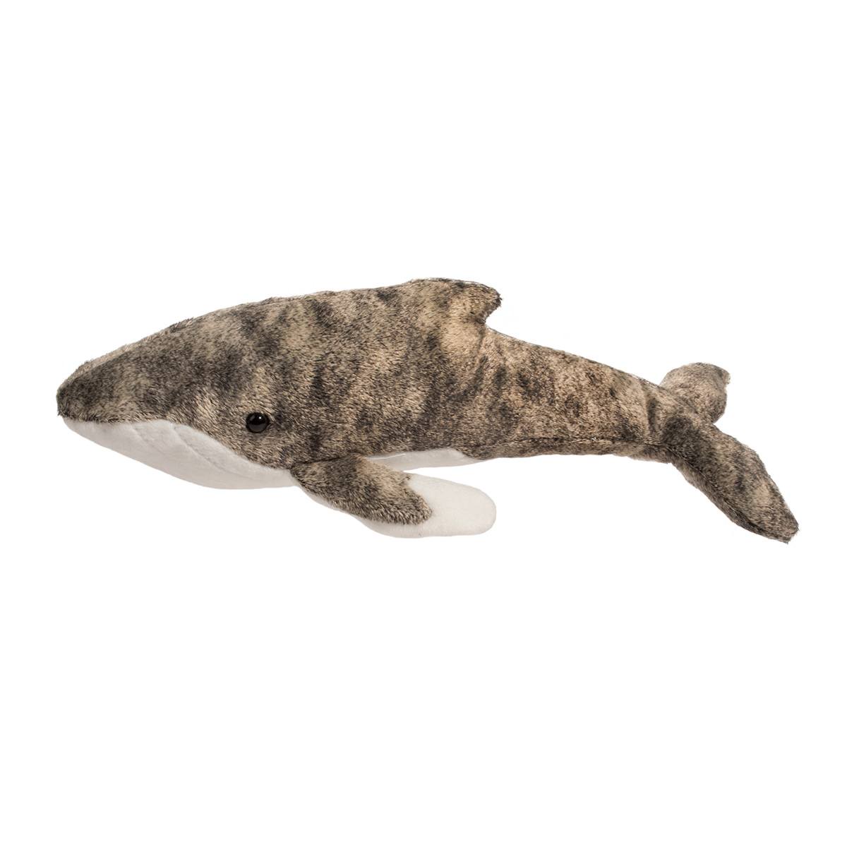 Ocean - Archie Humpback Whale