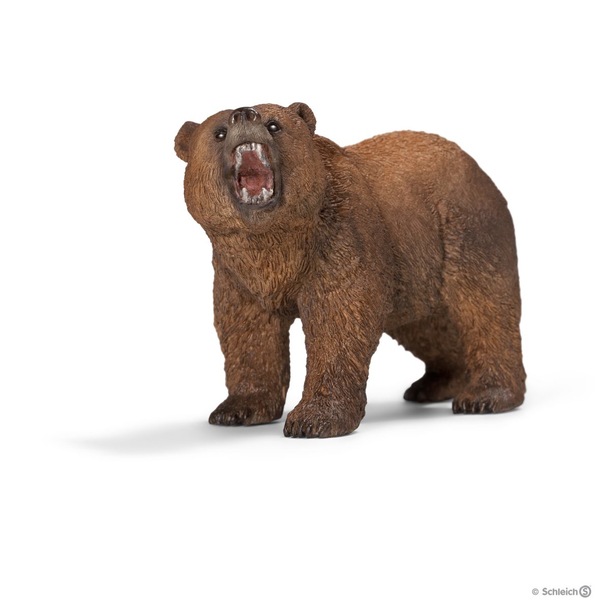 14685P Grizzly bear