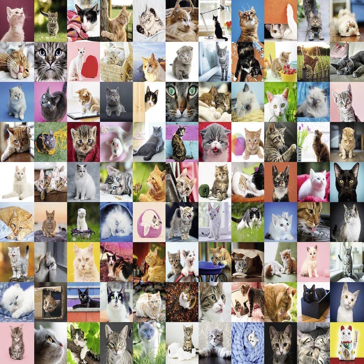 Ravensburger 162352 1500 Pieces 99 Cats