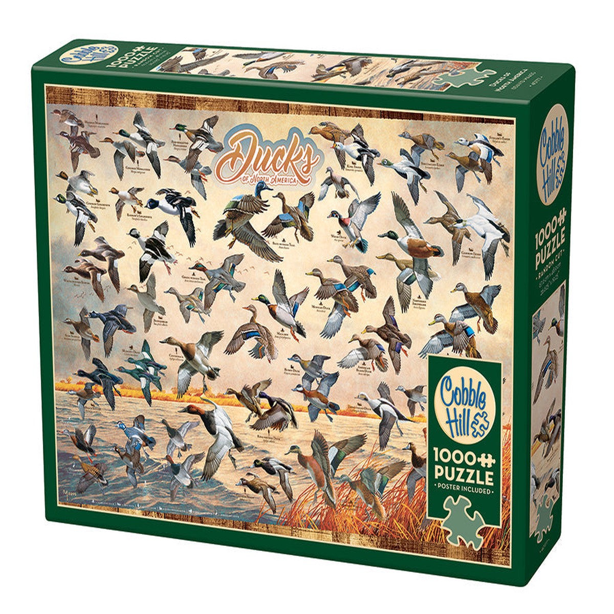 Cobble Hill - 1000pc Ducks of North America