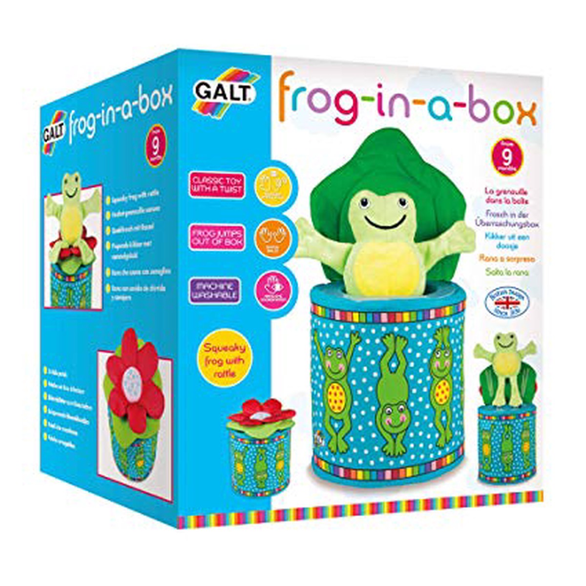 Galt Frog-in-a-Box