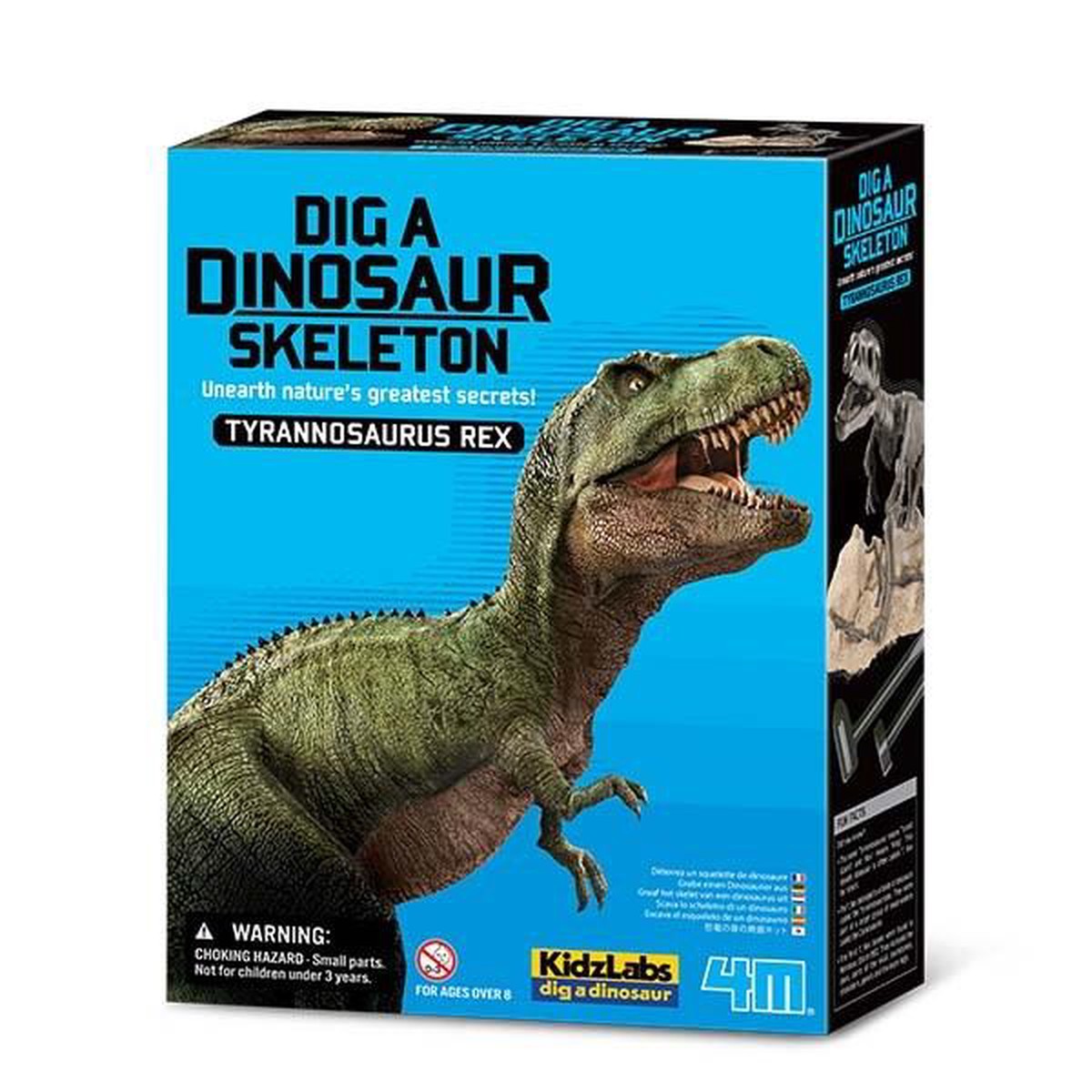 4M Excavation Dino - Dig a Tyrannosaurus Rex