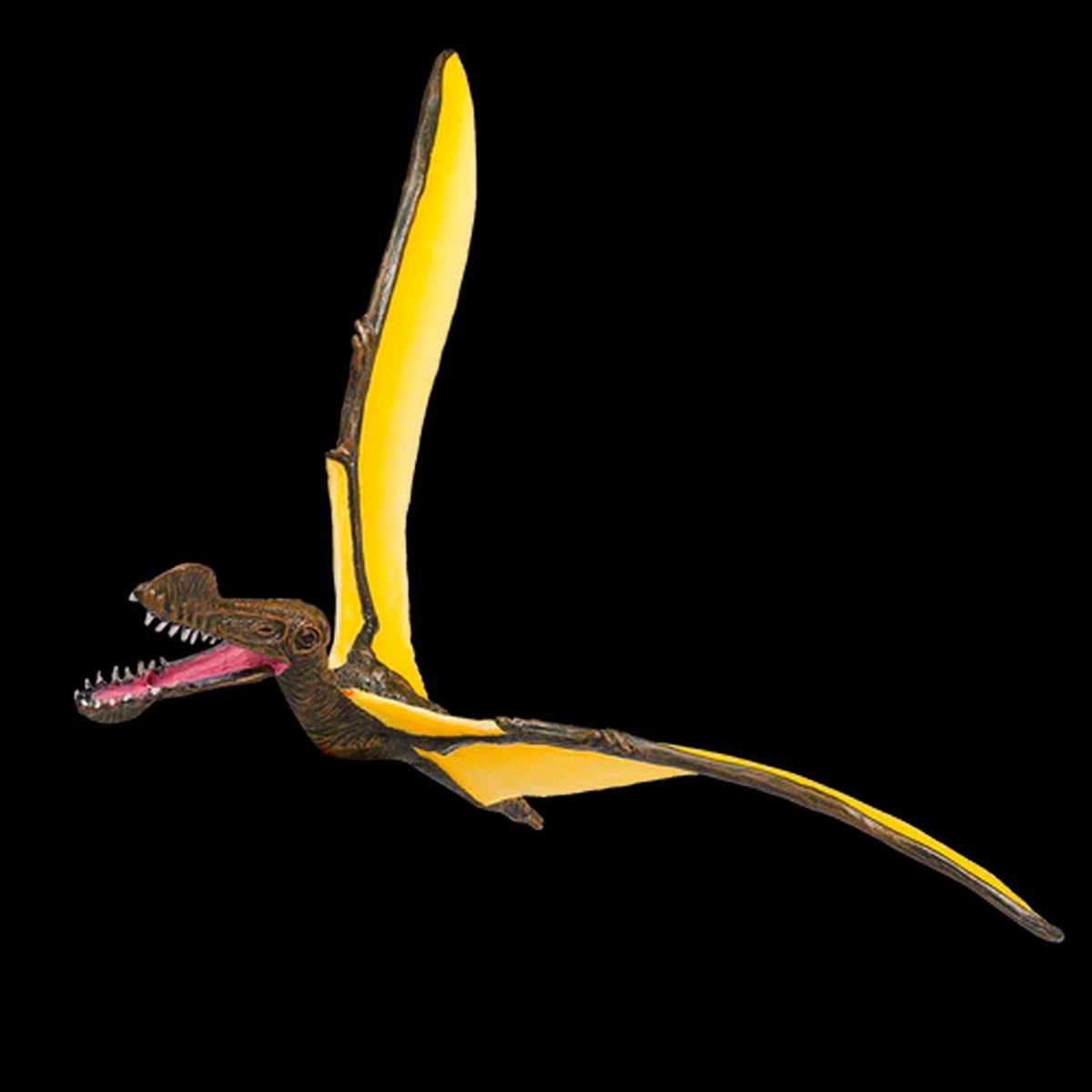 MOJO - Tropeognathus