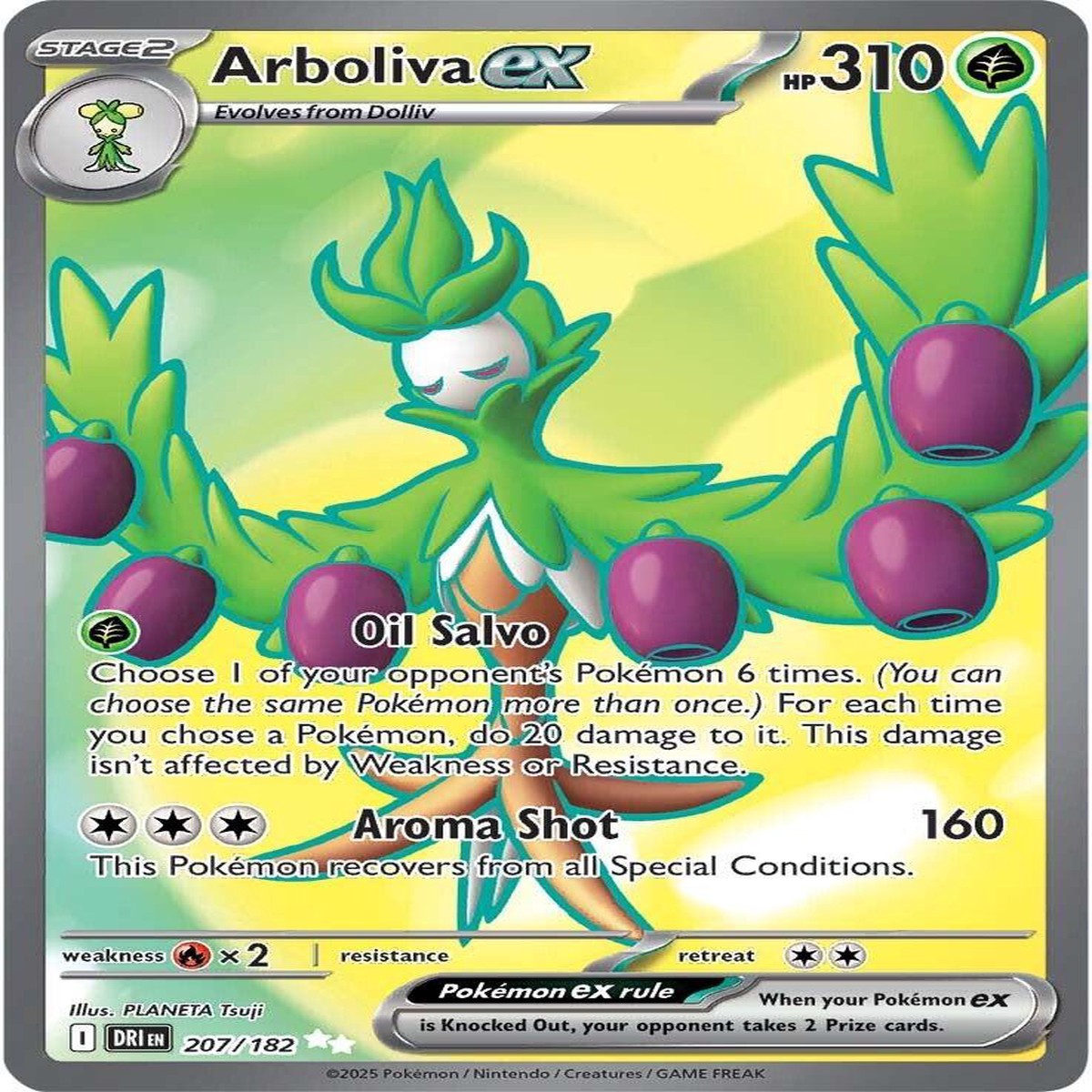 Arboliva ex - 207182 DRI - 207182