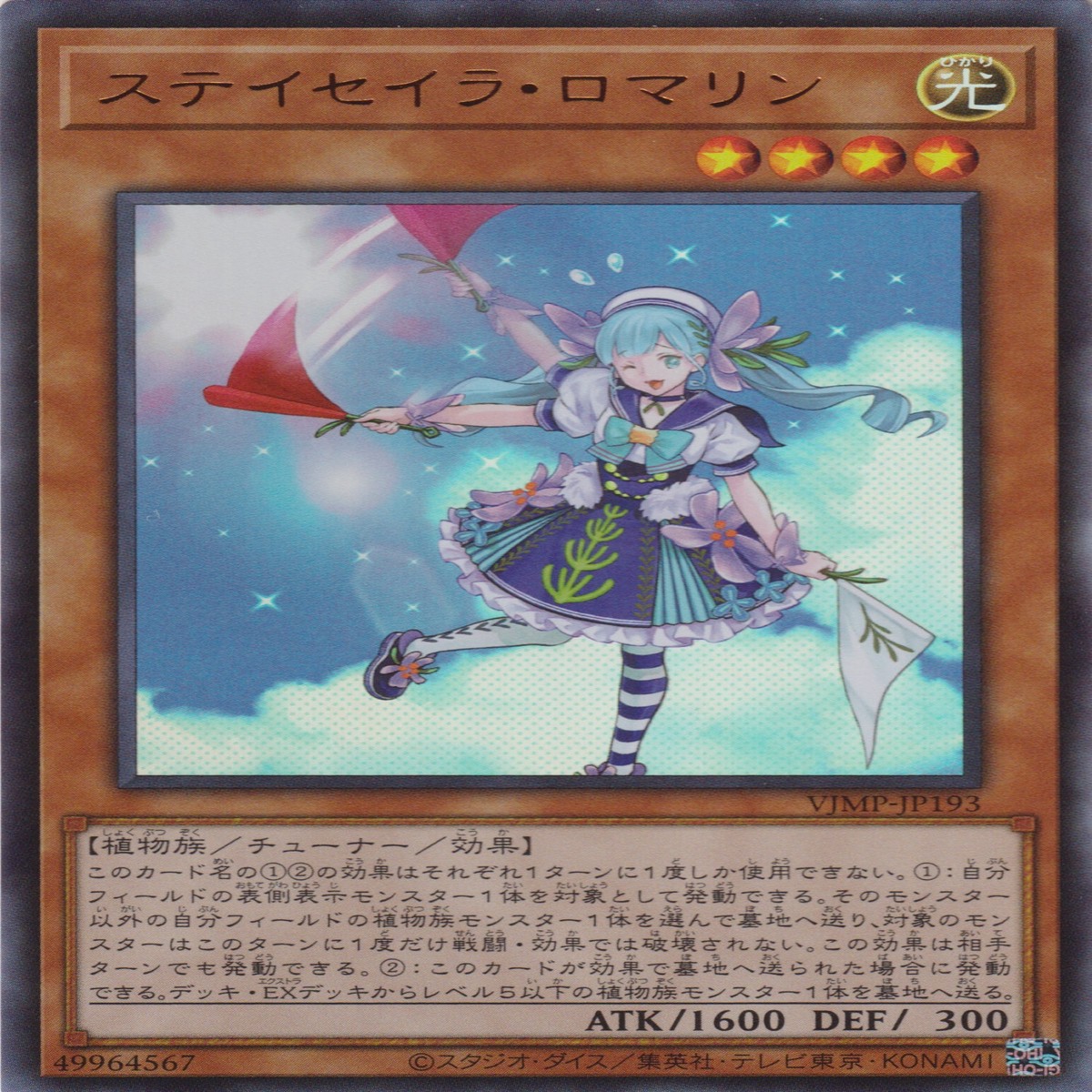 Staysailor Romarin