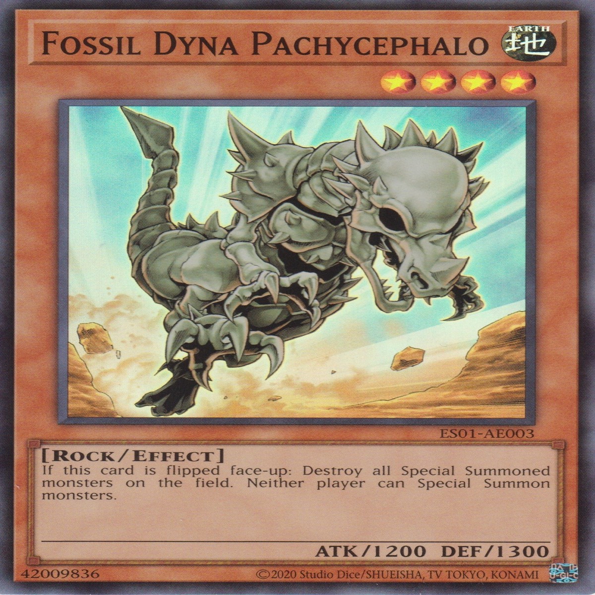 Fossil Dyna Pachycephalo