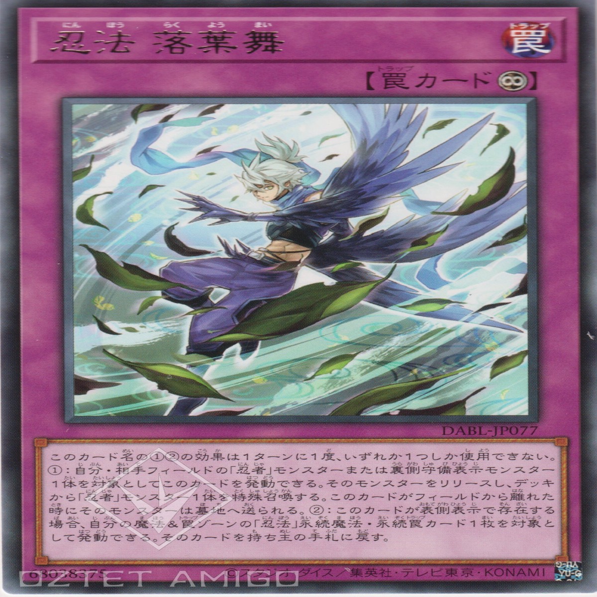 Ninjitsu Art of Fallen Leaves Dance