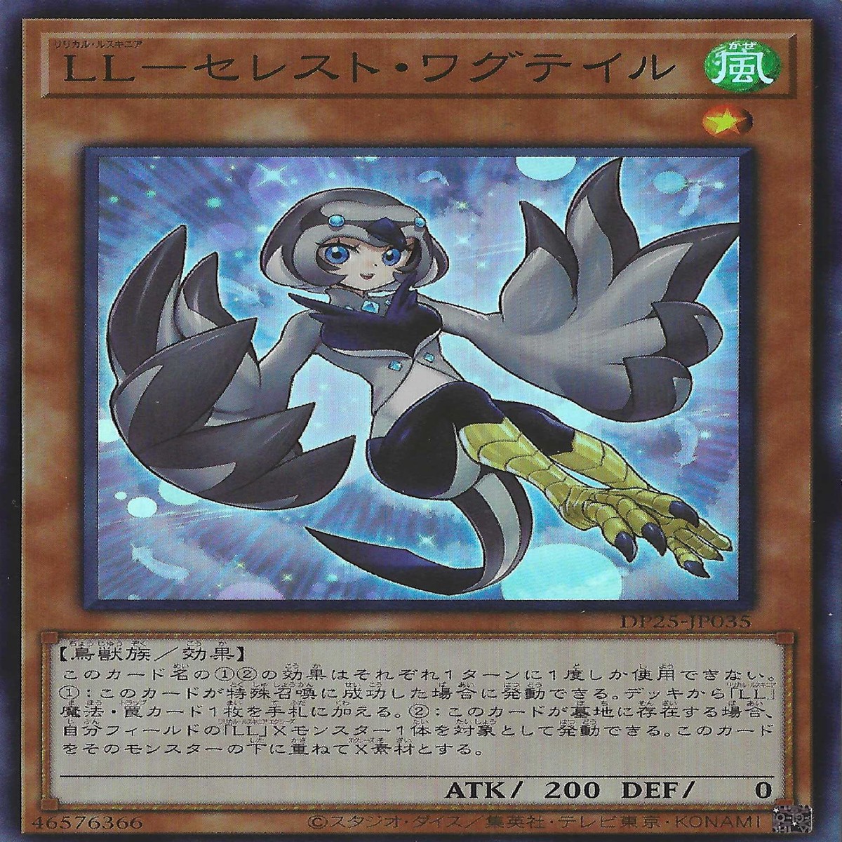 LL LL- Lyrilusc - Celestine Wagtail
