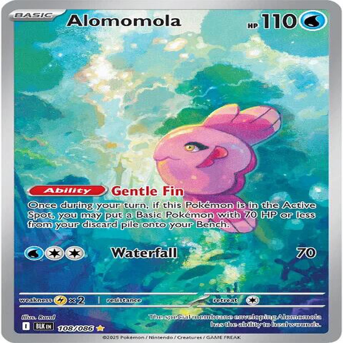 Alomomola - 108086 BLK - 108086